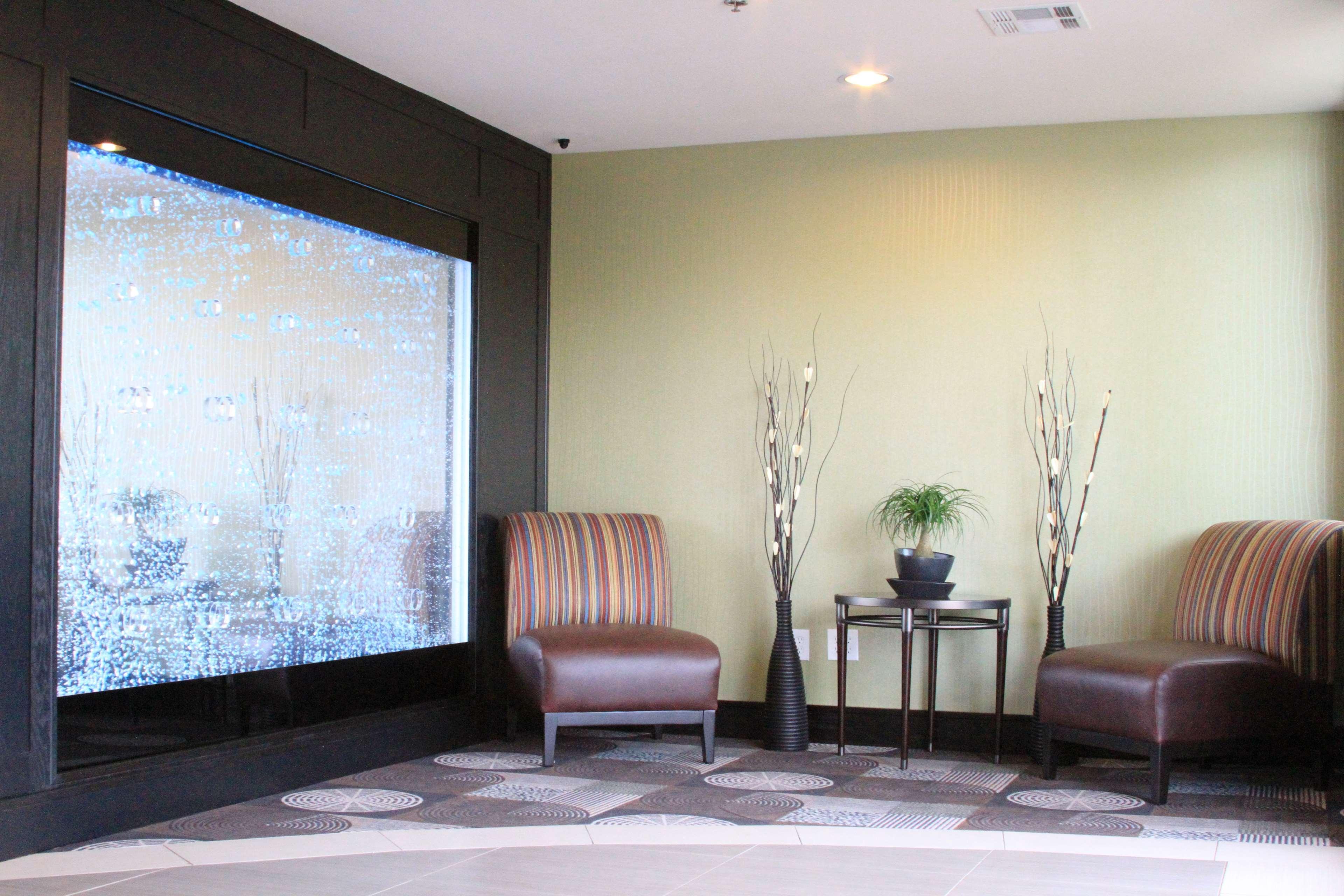 Best Western Plus Arlington North Hotel & Suites Гранд Прери Екстериор снимка