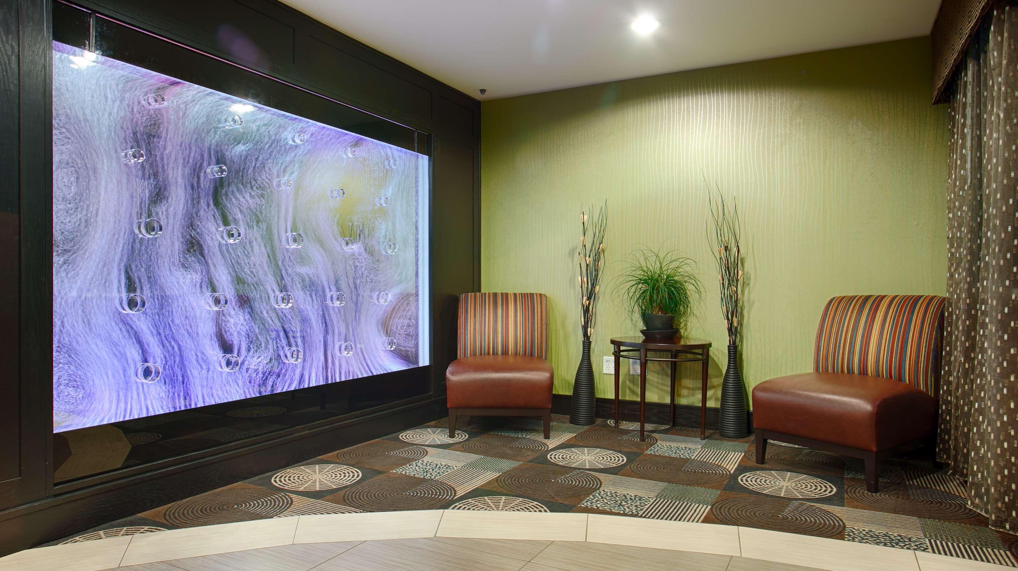 Best Western Plus Arlington North Hotel & Suites Гранд Прери Екстериор снимка