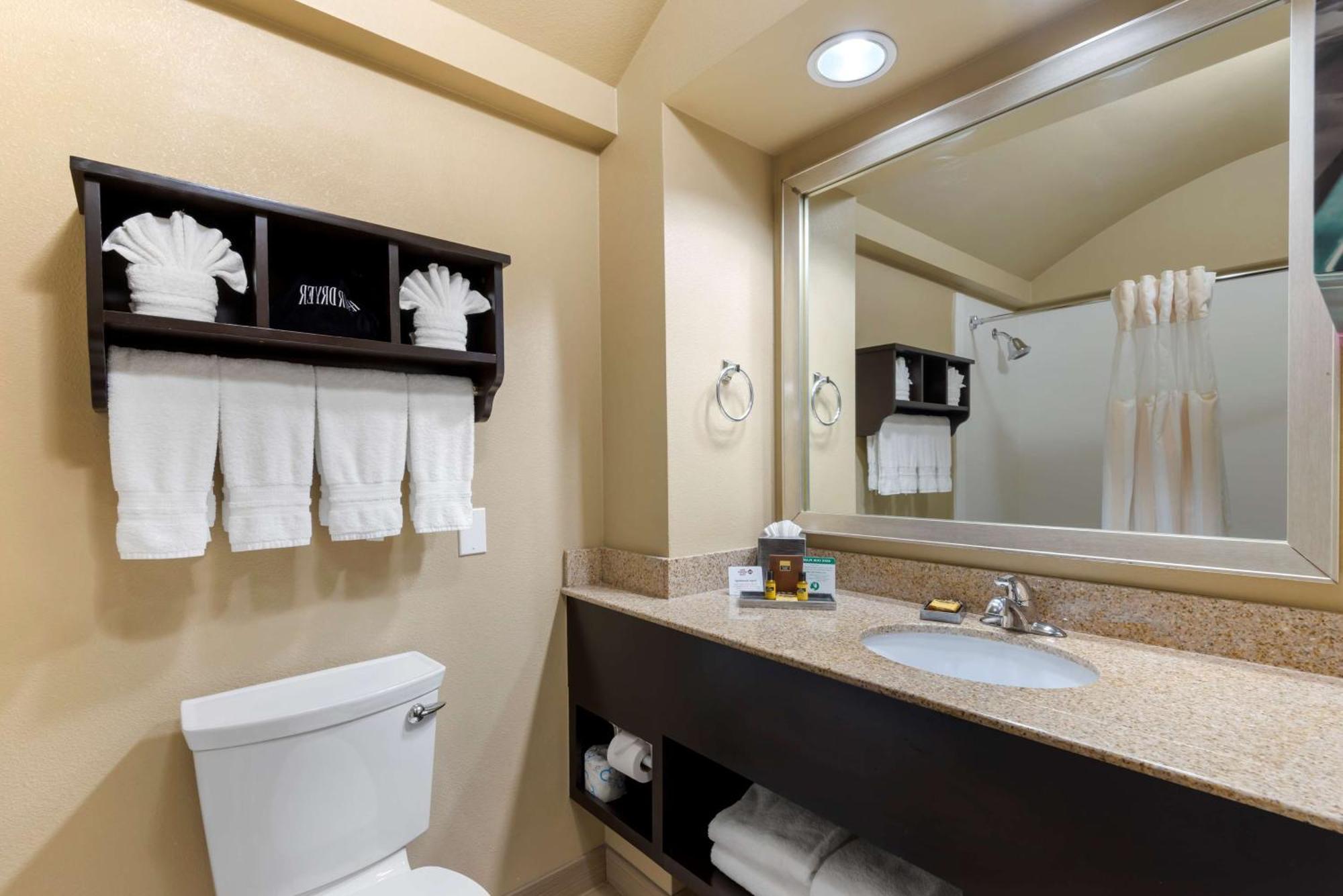 Best Western Plus Arlington North Hotel & Suites Гранд Прери Екстериор снимка