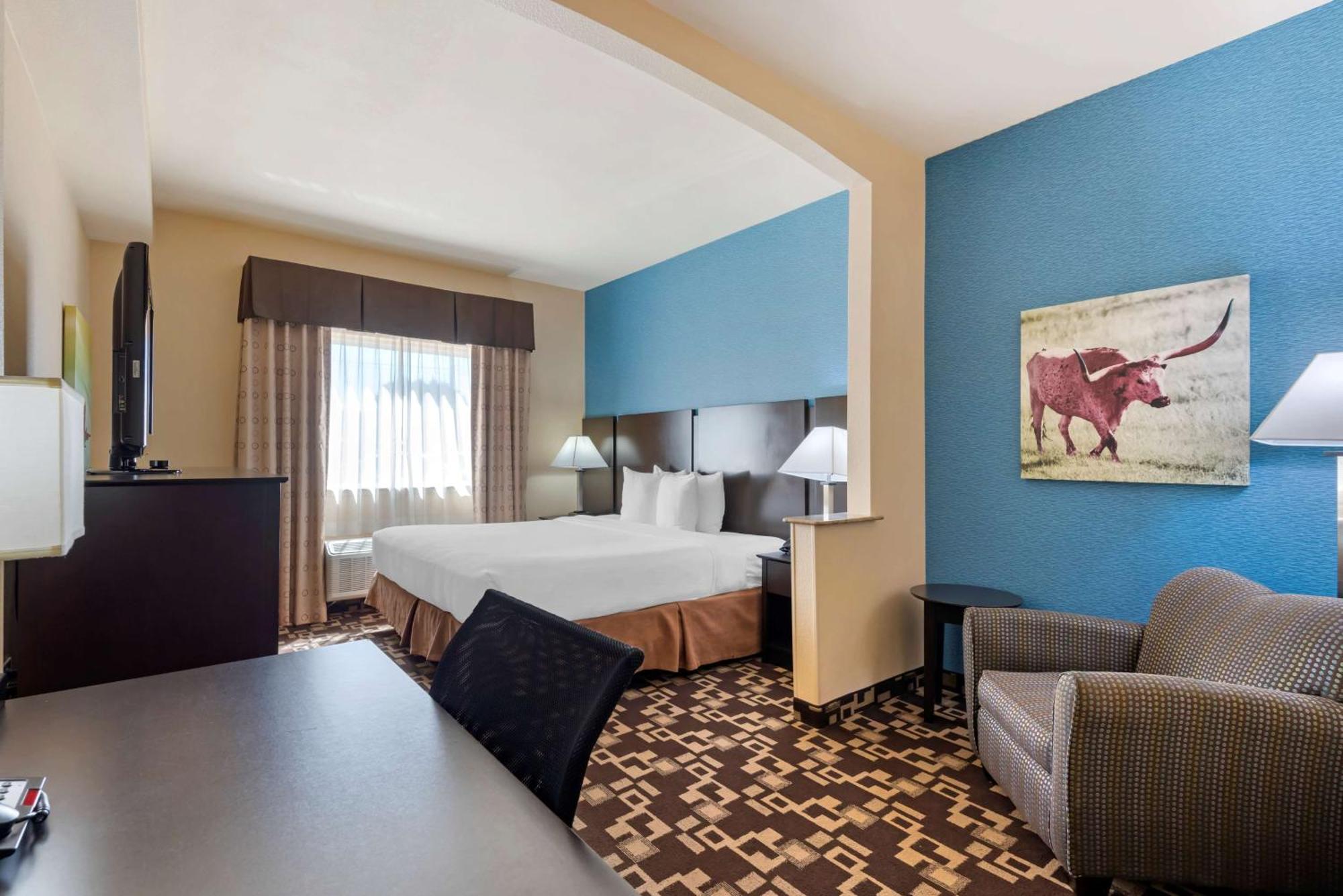 Best Western Plus Arlington North Hotel & Suites Гранд Прери Екстериор снимка